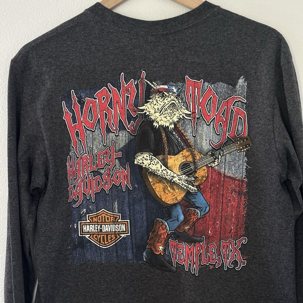Harley-Davidson Horny Toad Shirt Sz M Temple TX Long Sleeve Grey 2016 Biker